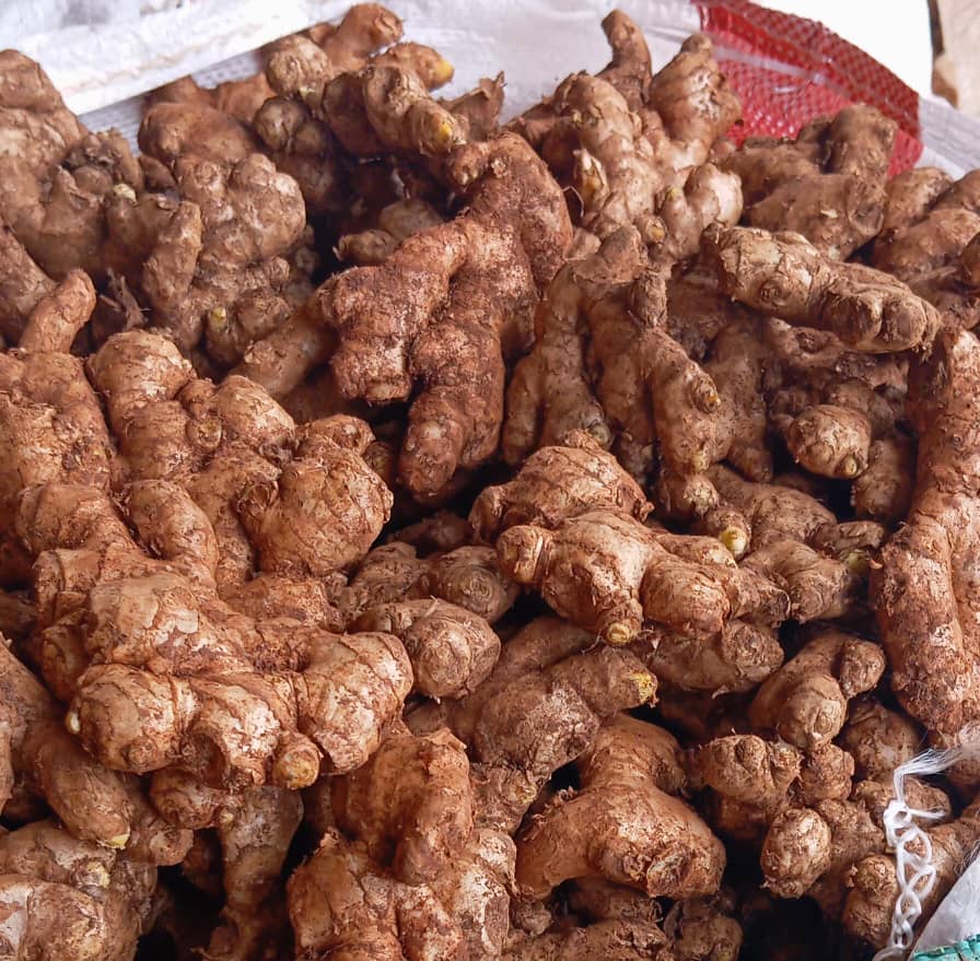 Jahe Segar from Malawi